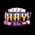 HAYWIN